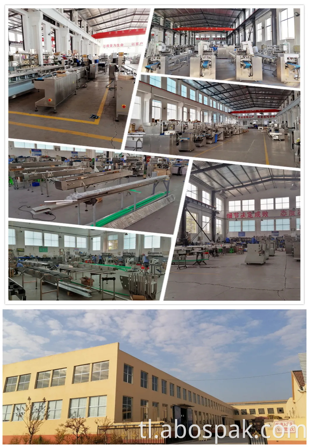 Qingdao Bostar Fresh Fruit Coconut Multi-Function Awtomatikong Pahalang Servo Heat shrinkable Film Paliitin Pagbabalot Packing Machine na may Tunnel